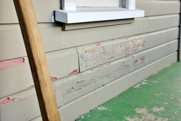 Best Mattress Disposal  in Fruitvale, CO